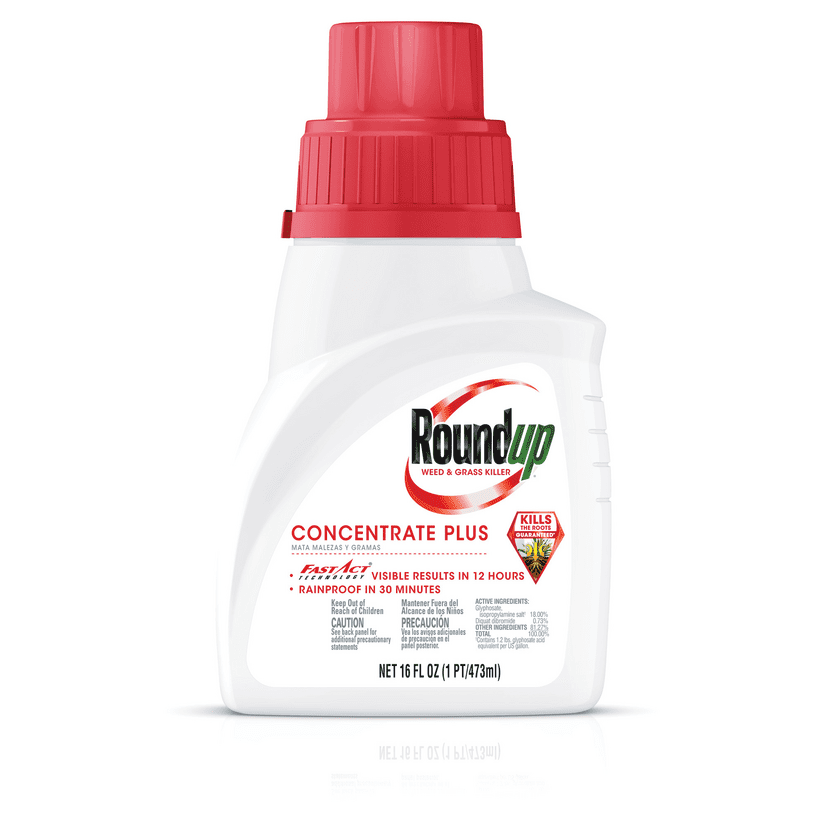 Roundup Weed & Grass Killer Concentrate Plus, 16 oz., Visible Results