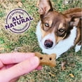 thumbnail image 6 of Wellness Old Mother Hubbard Mother's Solutions Hip & Joint Natural Biscuits Dog Treats, 20 oz bag, 6 of 8