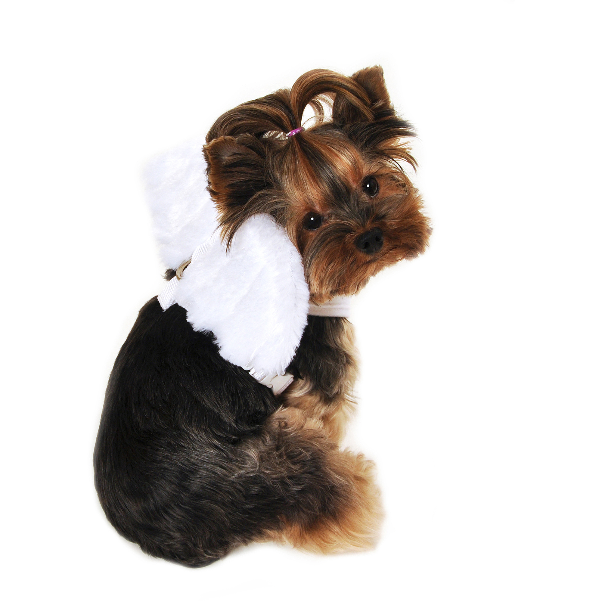 Holiday Pet Apparel SimplyDog Angel T-Strap Dog Harness, White