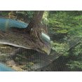 thumbnail image 3 of Ambesonne Aqua Quilted Coverlet 3 Pcs, Asia Thailand Jungle Trees, King Size, Turquoise Green Brown, 3 of 4