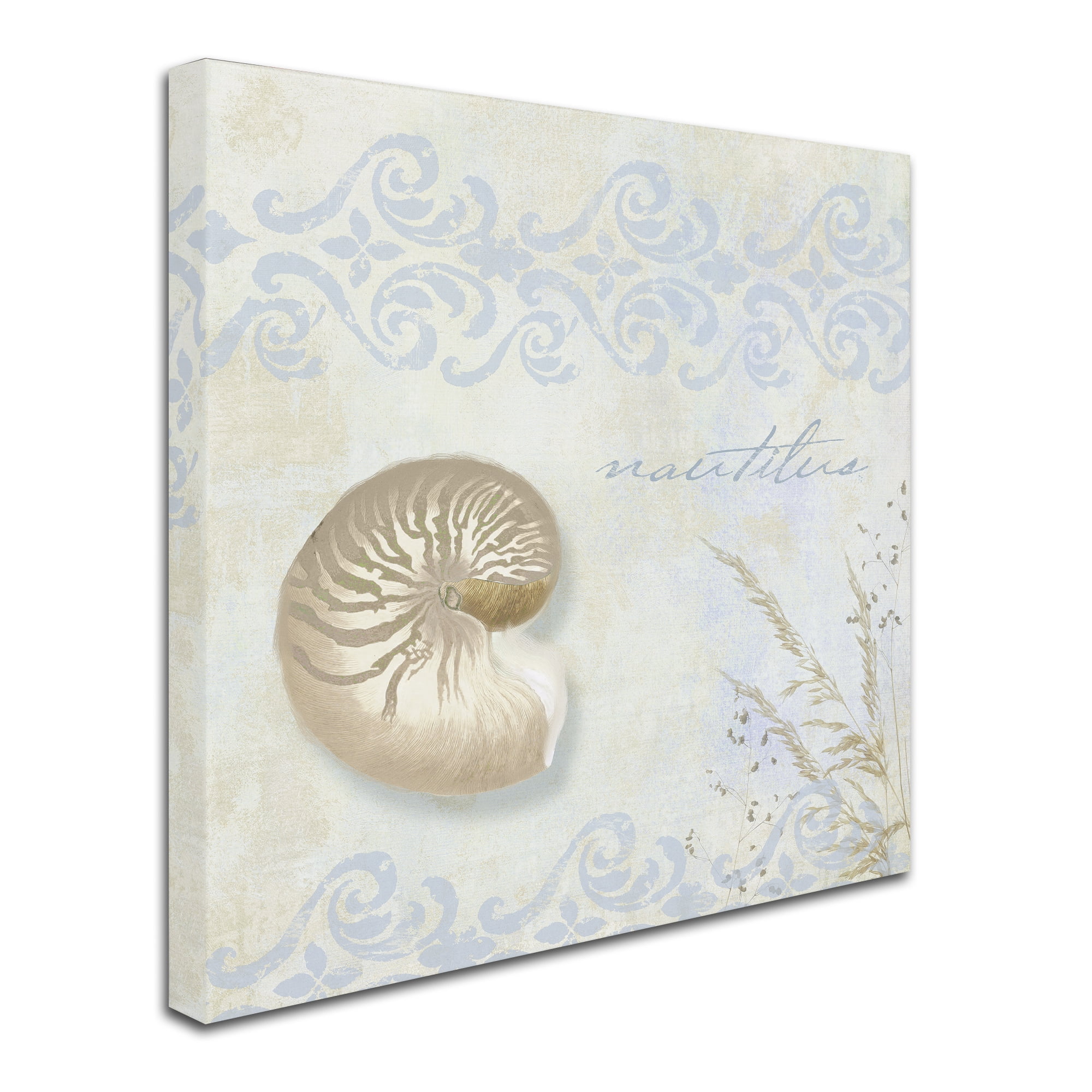 Trademark Fine Art "She Sells Seashells I" Canvas Art by Color Bakery
