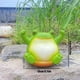 thumbnail image 5 of Macetero Con Cara Oscilante para en La Cabeza Resina Bonita Plantas Al Aire Libre Maceta Suculenta Cadena Perlas Suculentas, 5 of 9