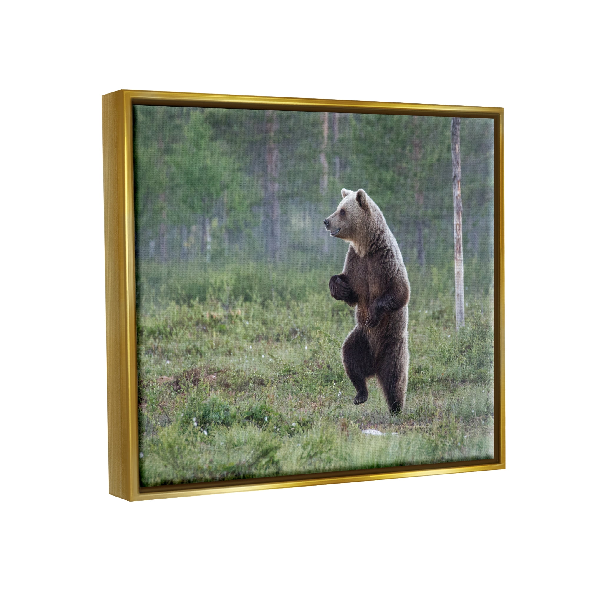 Stupell Industries Dancing Bear in Forest Animals & Insects Photography Gold Floater Framed Canvas Art Print Wall Art, 31 x 25