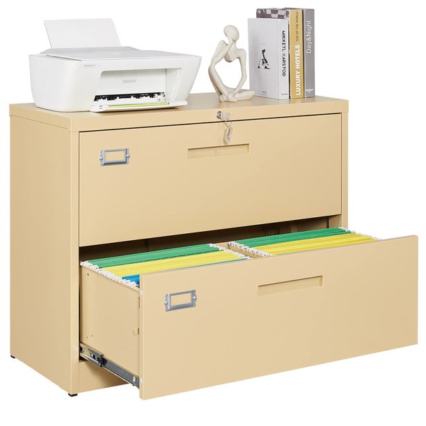 MIIIKO Lateral File with Lock, 2 Drawer Large Metal Vertical