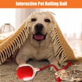 Interactive Rolling Dog Ball, Interactive Rolling Ball Dog Toy, Chewy
