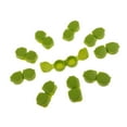 thumbnail image 1 of Paquete de estuches con tapa abatible shamjiam para portátil R Verde Caja de la lente de contacto, 1 of 7