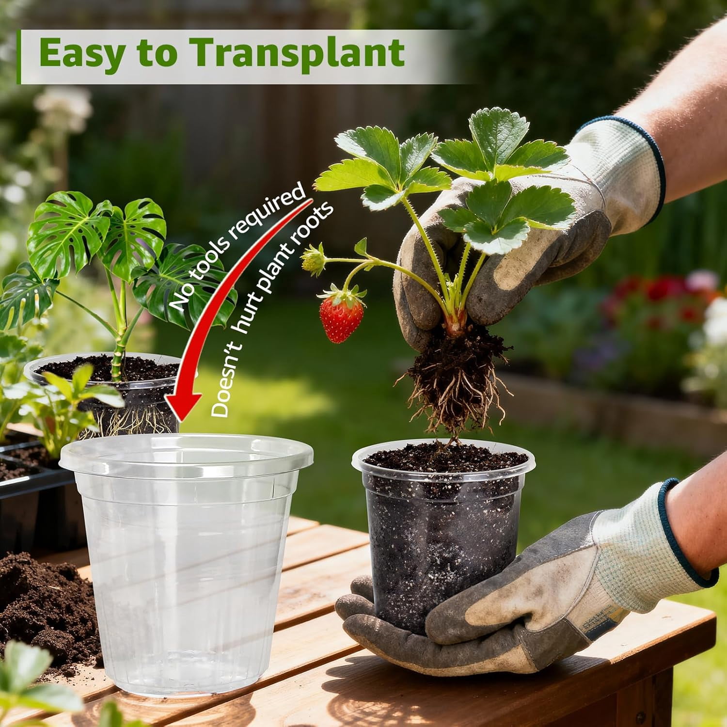 Clear Nursery Pots with Drainage Holes, 30 Pack 5/4/3.5 Inch Reinforced Transparent Plastic Seed Starter Pots, for Indoor Outdoor Gardening Seedling Planter