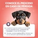 thumbnail image 4 of Smartchip QR y GPS para Mascotas para Perros y Gatos Chico, 4 of 7