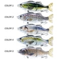 thumbnail image 2 of Señuelo de pesca con cebo para trucha TFixol de 6,7 pulgadas/3,1 oz, cuerpo duro de 2 segmentos, 2 of 8