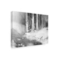 thumbnail image 2 of Jacob Green 'Graphite Glade I' Canvas Art, 2 of 3