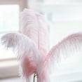 thumbnail image 3 of 100pcs Ostrich Feather Ornament 15-20cm DIY Natural Home Wedding Party Decoration, 3 of 8