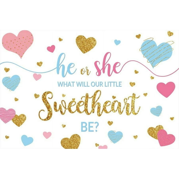 Gender Reveal Valentine Backdrop What Will Our Little Sweetheart Be Pink Or Blue Newborn Portrait Photography Background