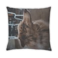 thumbnail image 2 of Ahgly Company Dogs Australian Shepherd Coussin Extérieur, 18 Pouces par 18 Pouces, 2 of 6
