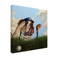 thumbnail image 4 of Canvas Wall Art - Lucia Heffernan 'Mulligan' Wall Art for Living Room, Bedroom, or Office Décor by Trademark Fine Art - 18 x 18 Inches, 4 of 4