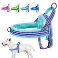 thumbnail image 2 of Dog Harness Vest No Pull Reflective Dog Harness Soft Padded Pet Puppy Harnesses Adjustable For Small Medium Large Dogs XS S M L ShopWise Round, 2 of 10
