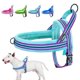 thumbnail image 2 of Dog Harness Vest No Pull Reflective Dog Harness Soft Padded Pet Puppy Harnesses Adjustable For Small Medium Large Dogs XS S M L ShopWise Round, 2 of 8