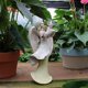 thumbnail image 3 of Art Angel Estatua De Ángel Rezando 3D Angel Art Estatua Decoración Resina Artesanía Ángel Decoración Creativa Césped Decoración Artesanía Para La Decoración Del Hogar Y El Jardín, 3 of 6