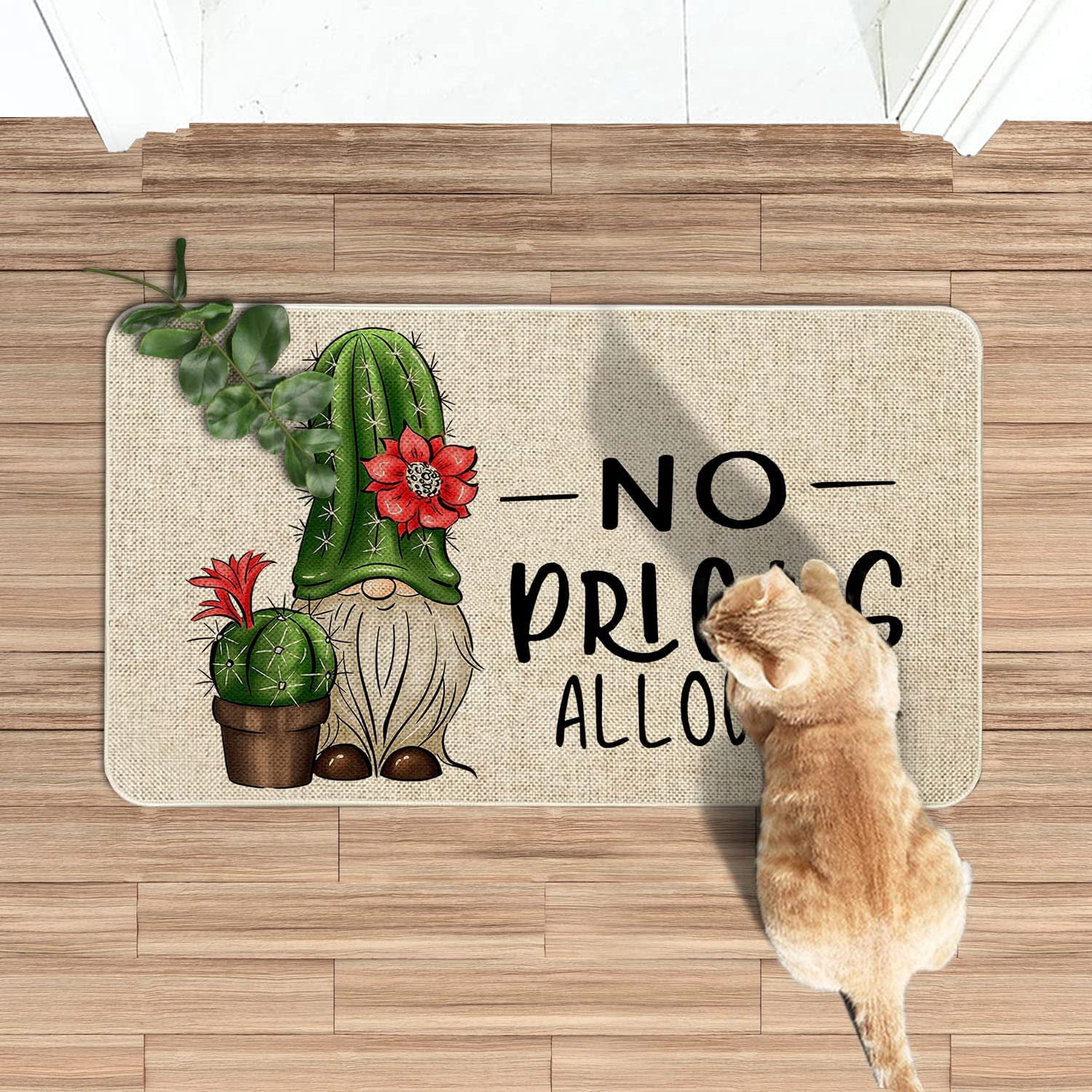 Spring Summer Door Mat 30 X 17 Inch No Picks Allowed Cactus Gnome Doormat Indoor Outdoor Entrance Funny Floor Mat Non Slip Summer Decor Rubber Welcome Mats