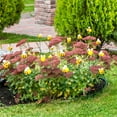 thumbnail image 1 of Flmtop 5Pcs/Set Bee Stake Creative High Simulation Fleece Relieve Boredom Garden Decoration for Home, 1 of 8