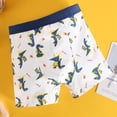 thumbnail image 4 of Calzoncillos bóxer de algodón para niños JackLoveBriefs con diseño de dinosaurio de 7 a 9 años, 4 of 6