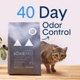 thumbnail image 2 of Arena para gatos BoxiePro, probiótica, control natural de olores, 7,26 kg, 2 of 9
