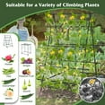 thumbnail image 3 of ResenkosA-Frame Garden Cucumber Trellis with Netting for Climbing Plants Outdoor-Black, 3 of 8
