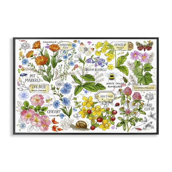 Stupell Industries French Country Various Herbs Benefits Black Framed Giclee Art, 18 x 12, by Jane Maday