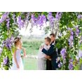 thumbnail image 6 of Viworld 2 Pack 6.6ft Artificial Flowers Silk Wisteria Flowers Ivy Vine Green Leaf Hanging Vine Garland for Wedding Party Home Garden Wall Decoration, Purplr, 6 of 14