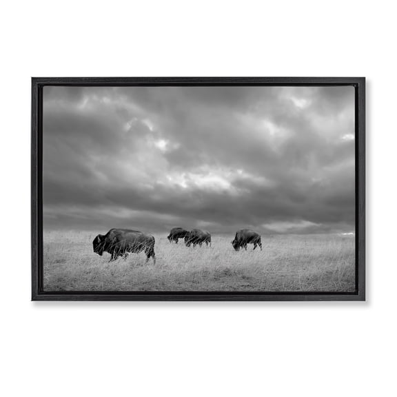 Stupell Industries Bisons Under an Autumn Sky Black Framed Floater Canvas Wall Art, design by Steve Toole