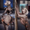 thumbnail image 2 of Correa Doble de Nailon Grueso Ajustable WEIHJMXG para Perros Pequeños Medianos y Grandes, 2 of 5