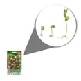 thumbnail image 2 of Semillas Cactus Variados Vita, 2 of 5