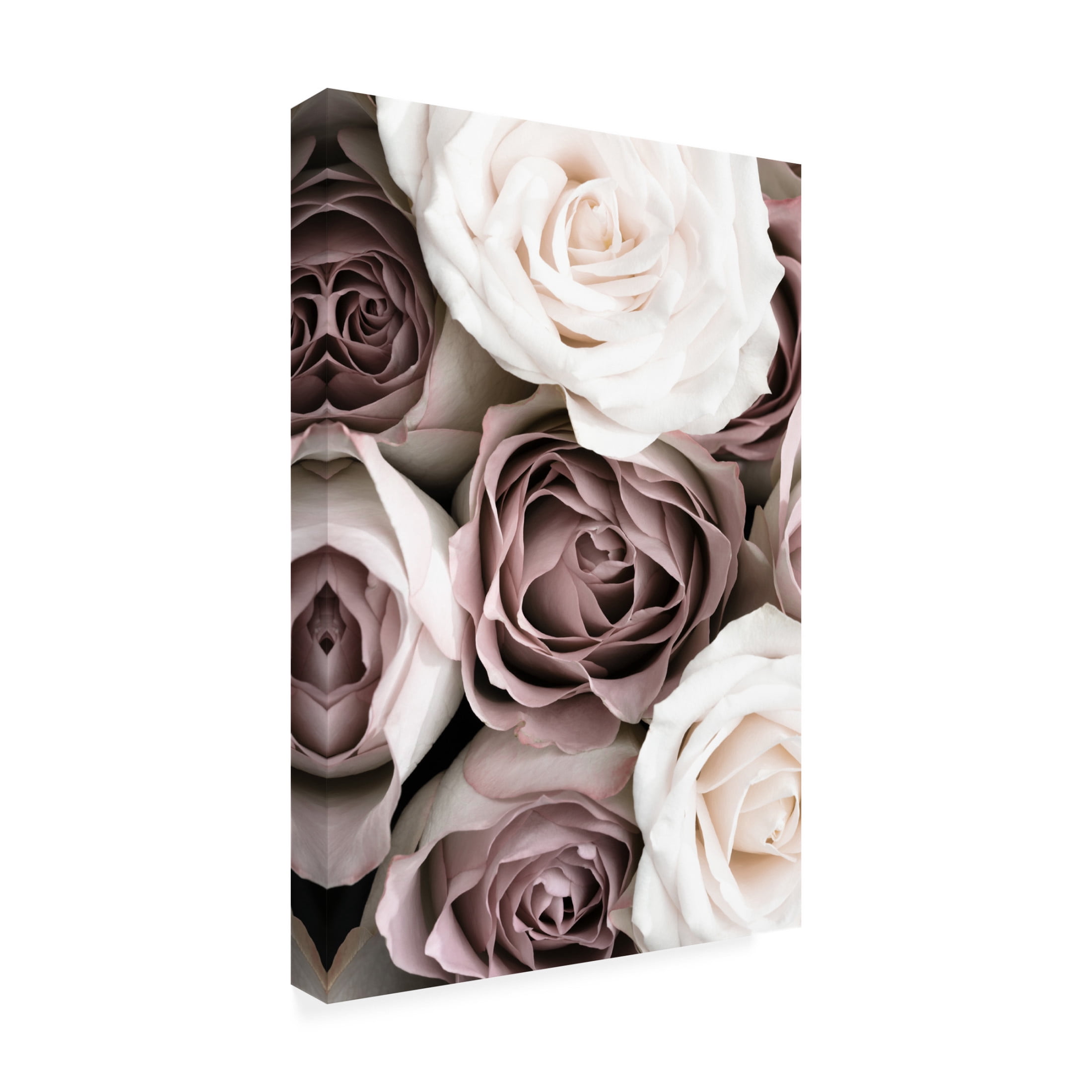 Pictufy Studio III 'Roses' Canvas Art - 22 x 32 Inches