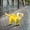 A025 Yellow L, variant on Small Dog Raincoat Hooded With D Ring Full Coverage Dog Rain Jacket Slicker Poncho Dog Rain Jacket With Reflective Strip Pet Clothes Birthday Gift For Pet Dog Cat XL
