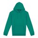 thumbnail image 1 of Native Spirit - Sudadera para Adultos Unisex (Piedra Verde) Native Spirit UTPC5121_gemstonegreen, 1 of 1