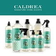 thumbnail image 6 of Caldrea Dish Soap, Pear Blossom Agave, 16 Oz, 6 of 6
