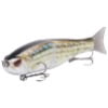 Striper