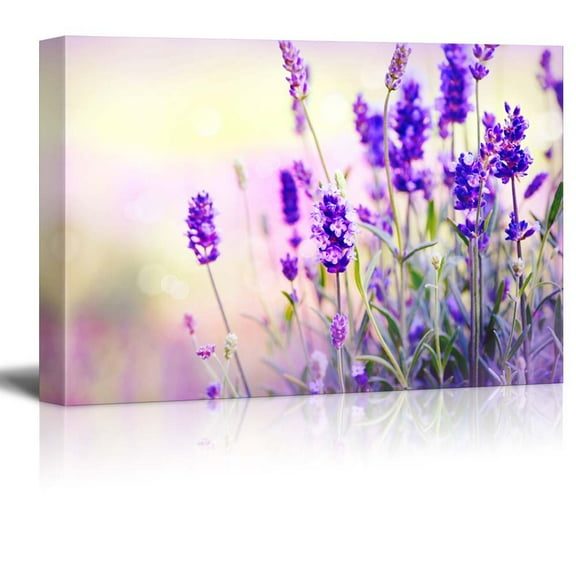Canvas Prints Wall Art - Lavender Field | Modern Wall Decor/Home Art Stretched Gallery Canvas Wraps Giclee Print & Ready to Hang - 24" x 36"