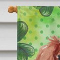 thumbnail image 3 of Carolines Treasures BB9533CHF Blenheim Cavalier Spaniel St. Patricks Canvas House Flag, 3 of 4