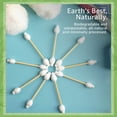 thumbnail image 3 of Jenvita Bamboo Baby Cotton Swabs for Ears, Double Tipped Swabs 500 Ct, 3 of 9