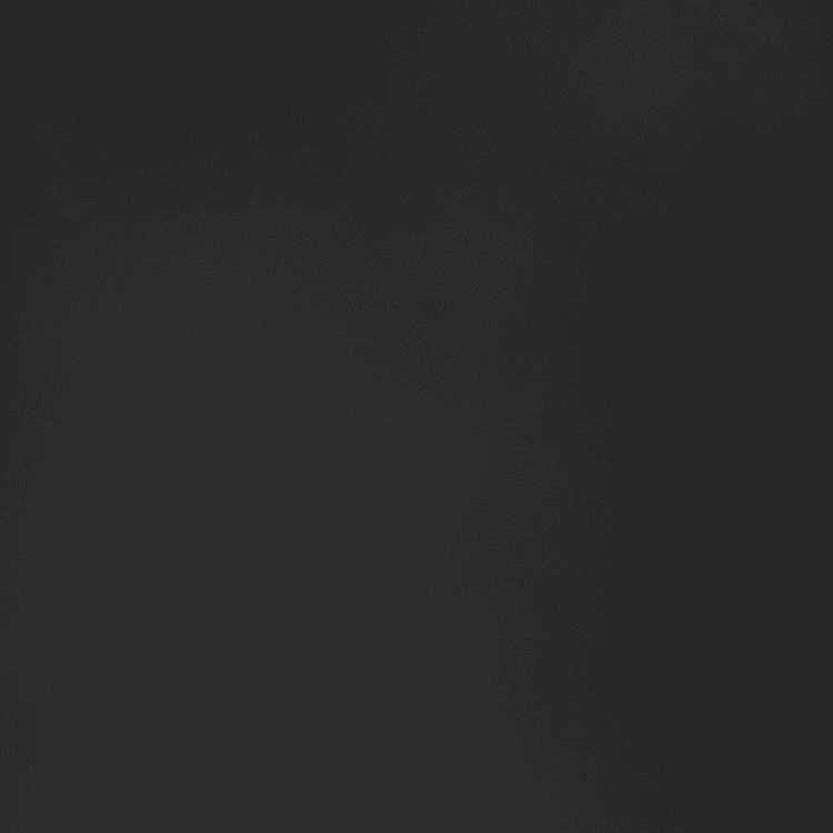 Metallic Black
