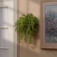 thumbnail image 4 of National Tree Company 20 Inch Artificial Pine Branch Hanging Plant, 4 of 4