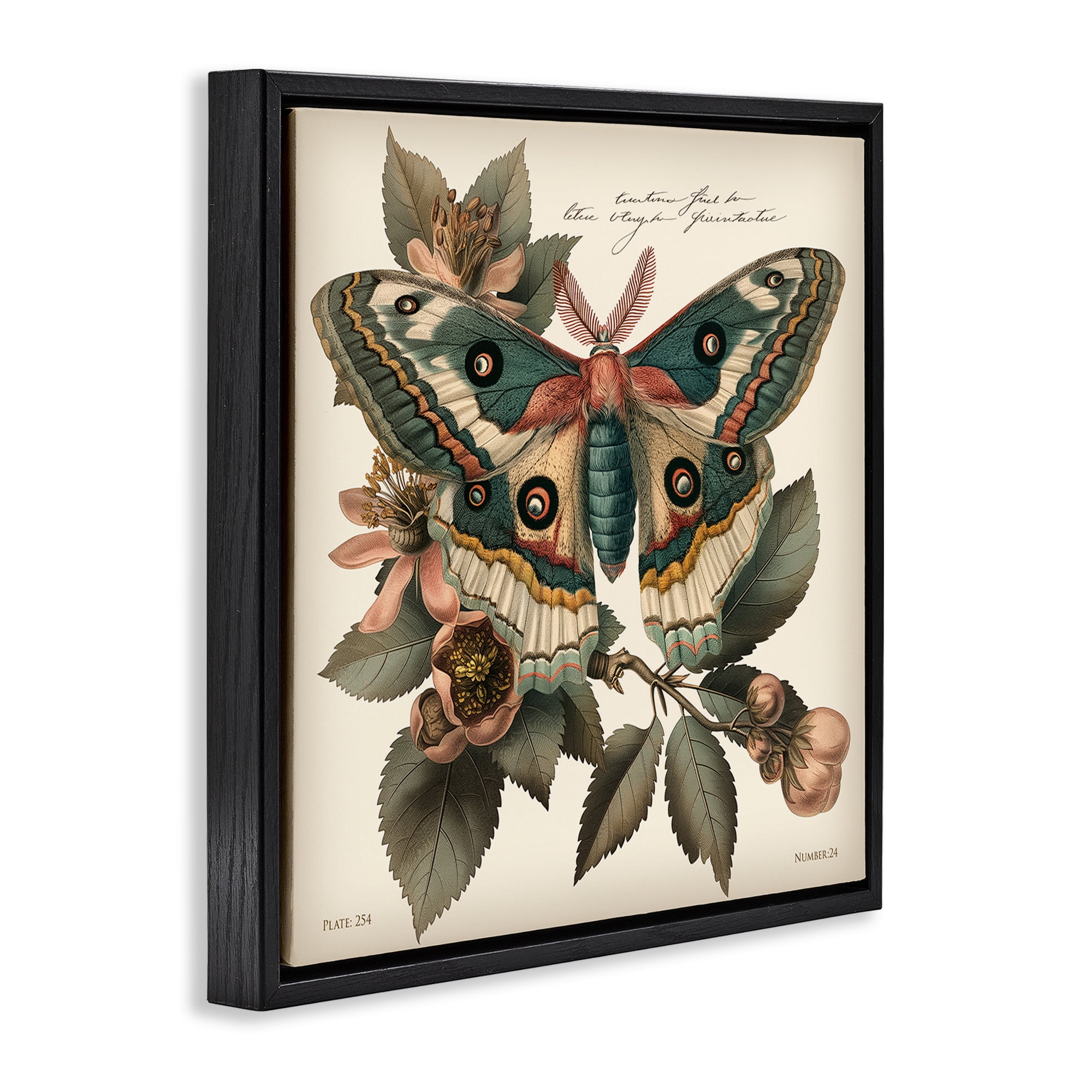 Stupell Industries Green Patterned Moth Animals Painting Black Floater Framed Canvas Art Print Wall Art, 25 x 25