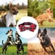thumbnail image 5 of Collar de lana Dinheiro Dog Christmas con collar de perro con lazo cálido y suave de nailon,, 5 of 5