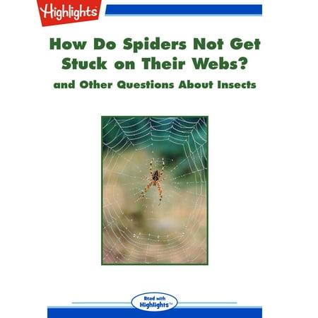 How Do Spiders Not Get Stuck on Their Webs? - (Best Way To Get Spider Webs Off Your House)