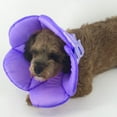 thumbnail image 4 of WHAMVOX Puppy Flower Collar Protective Collar Prevents Biting 1Pack, 4 of 7