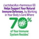 thumbnail image 5 of Suplemento Culturelle Probiotic Digestive Health 30 cápsulas x4, 5 of 9