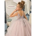 thumbnail image 4 of Drtj Flower Girl Dress V-Neck Tulle Appliques Flower Girl Dresses Lace Princess Pageant Dress Sized 2-14T, 4 of 6