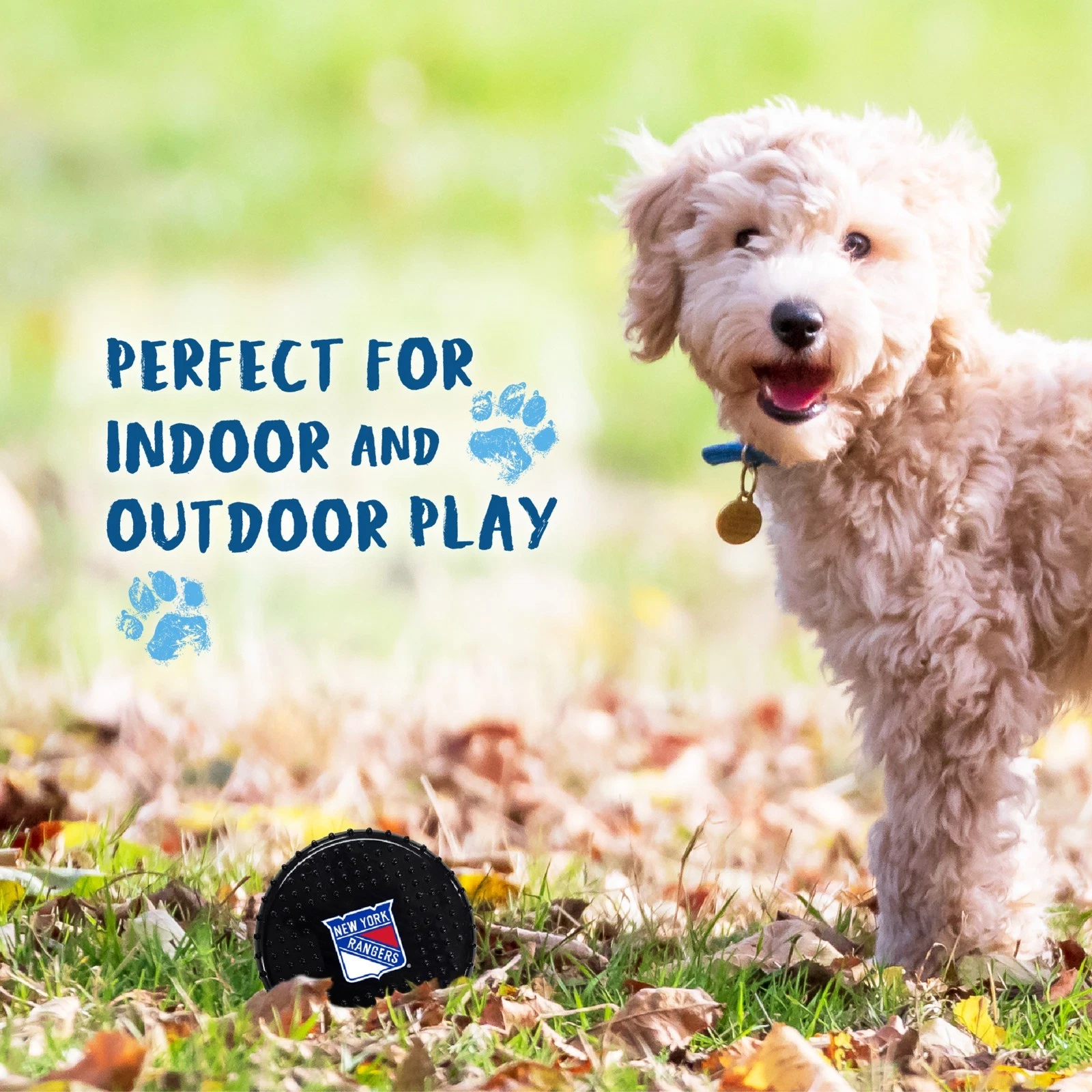 Pets First NHL Hard-Nylon Pet Toy Flavored Dog Chew Toys for Aggressive Chewers