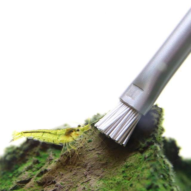 Cepillo de limpieza Colco para acuarios herramientas de mantenimiento de plantas