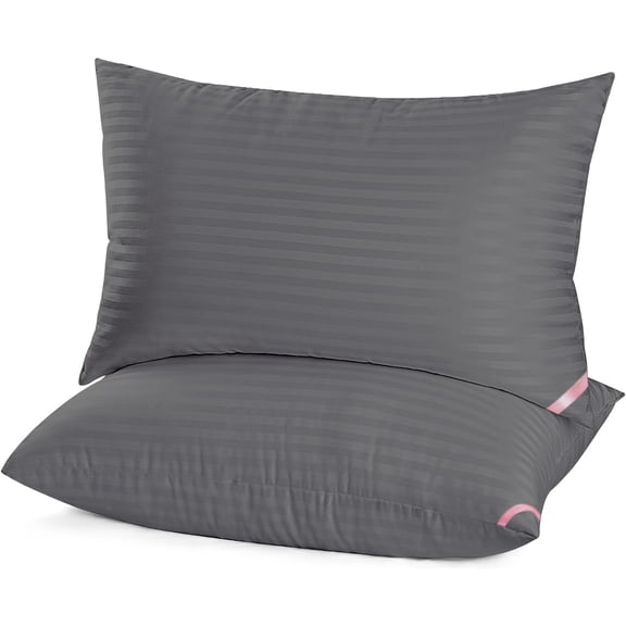 Bed Pillows for Sleeping 2 Pack Queen Size 20 x 30 Inches，Super Soft Down Alternative Microfiber Filled Pillows,Pillows for Side and Back Sleepers,Black